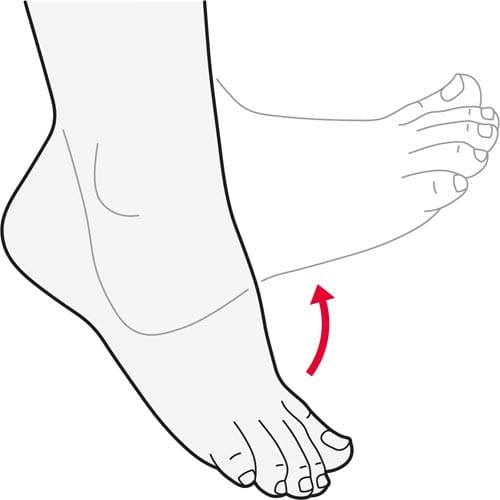 Foot Exercises