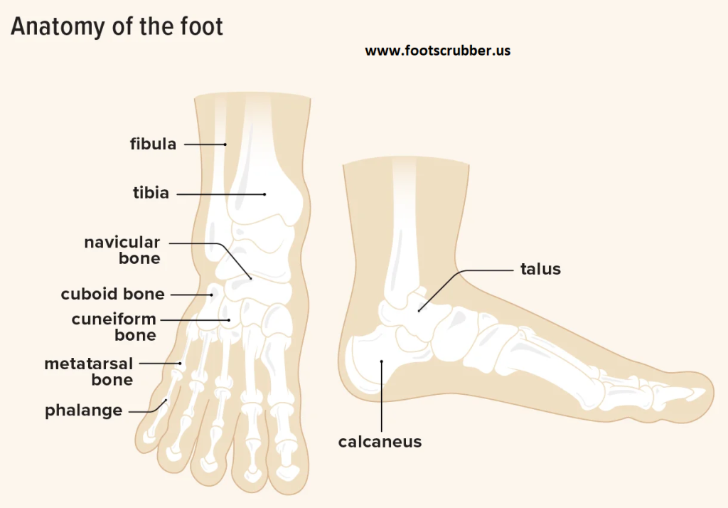 Foot Pain Relief