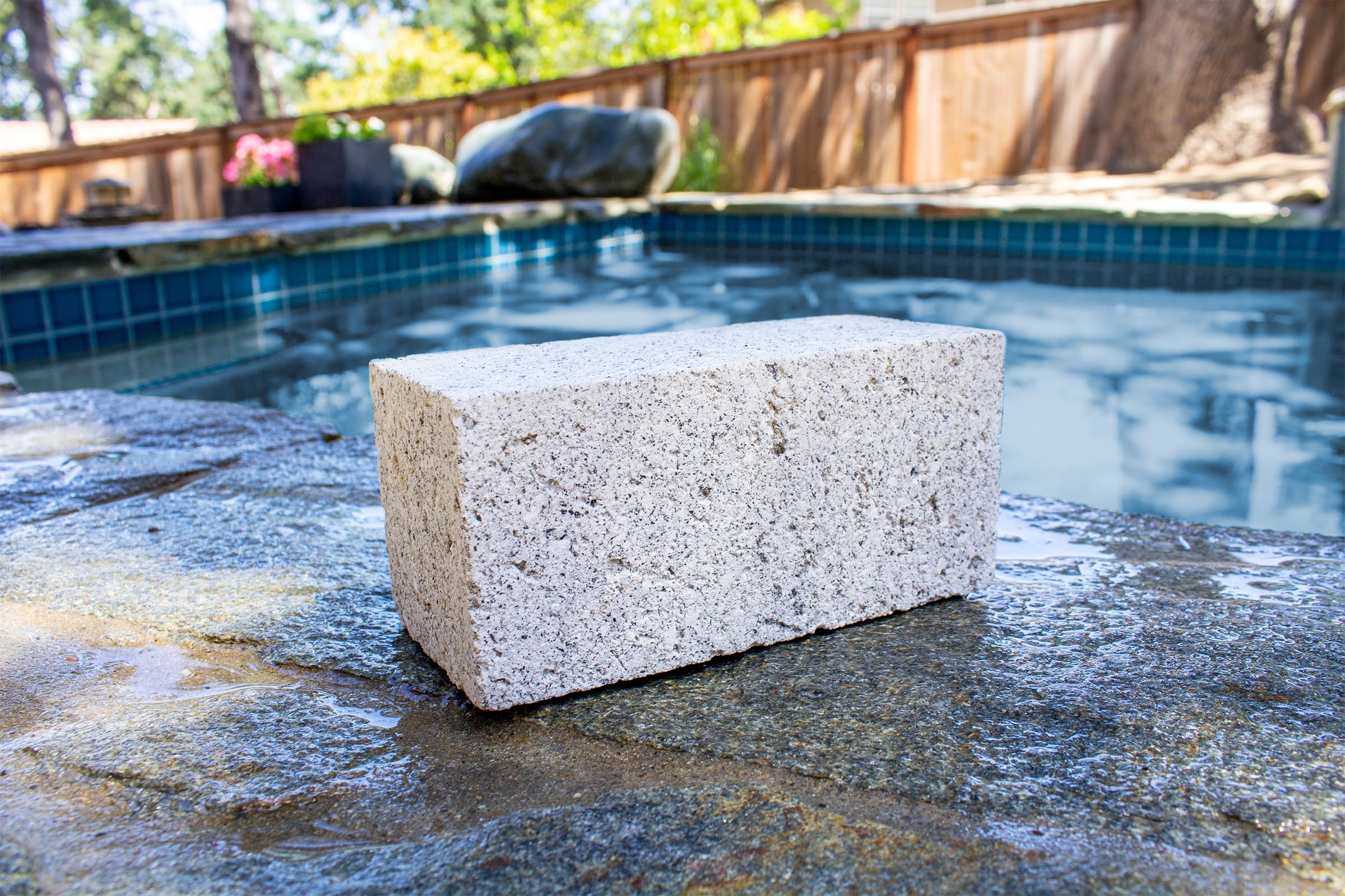 Pool Pumice Stones